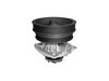 <b>FIAT:</b> 46444355<br/>